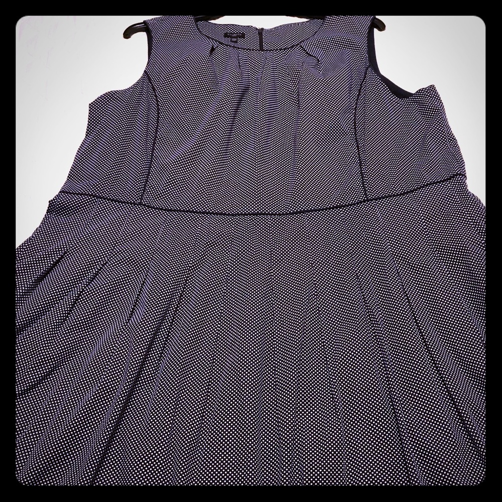 Talbots Navy Swiss dot fit & flair dress size 24